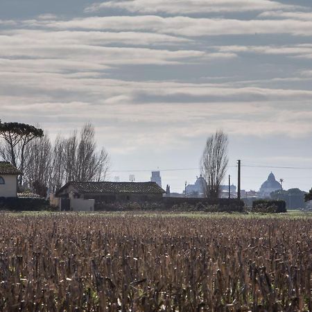 Podere Magnolia Πίζα Εξωτερικό φωτογραφία