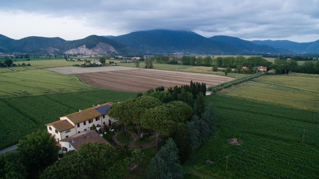 Podere Magnolia Πίζα Εξωτερικό φωτογραφία